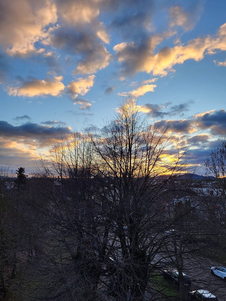 Außenbereich Bild 13