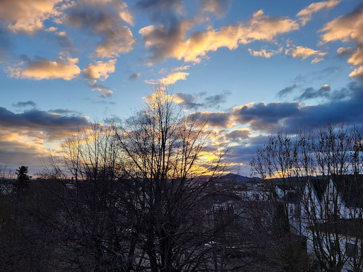 Außenbereich Bild 18