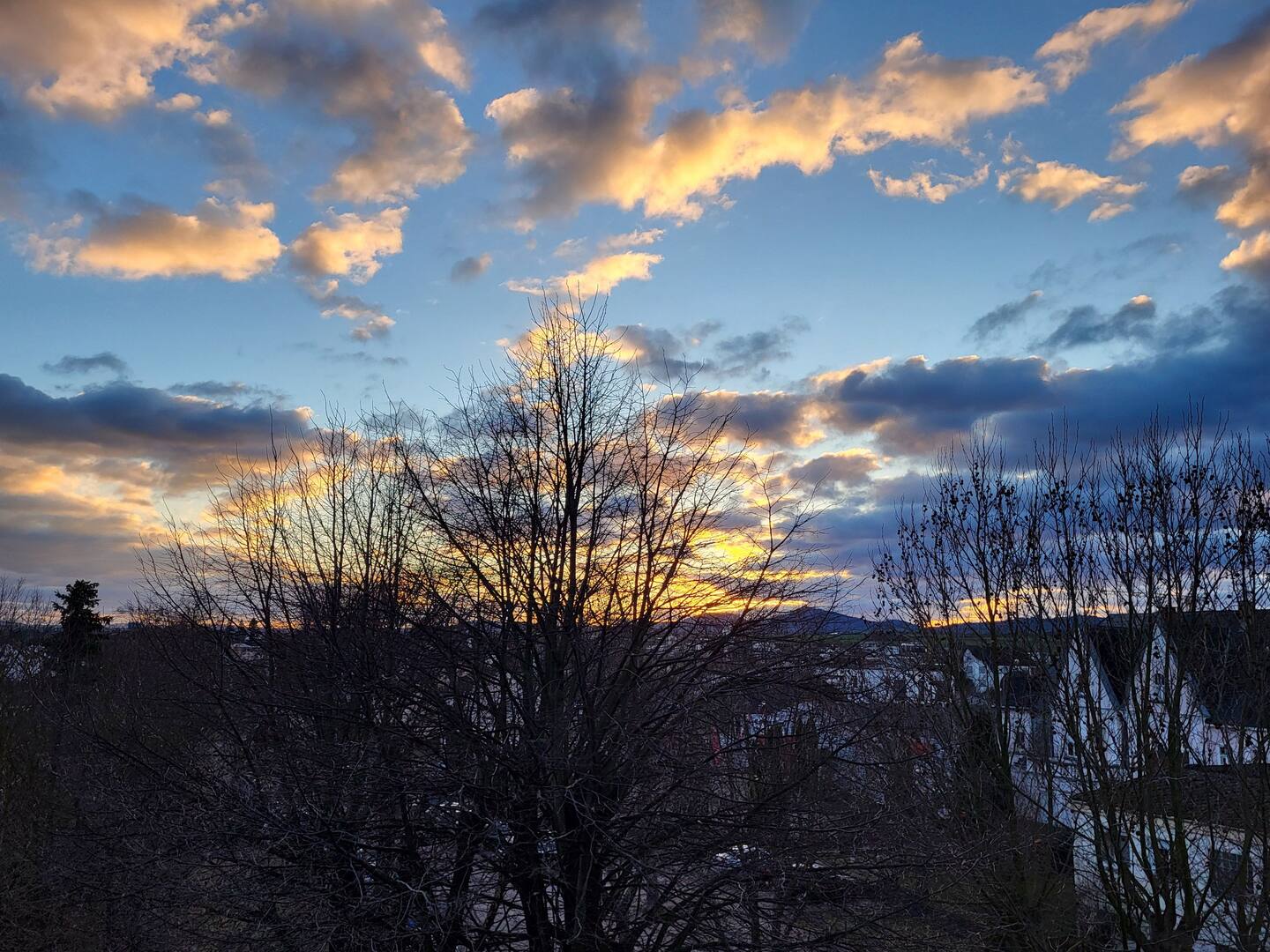 Außenbereich Bild 18
