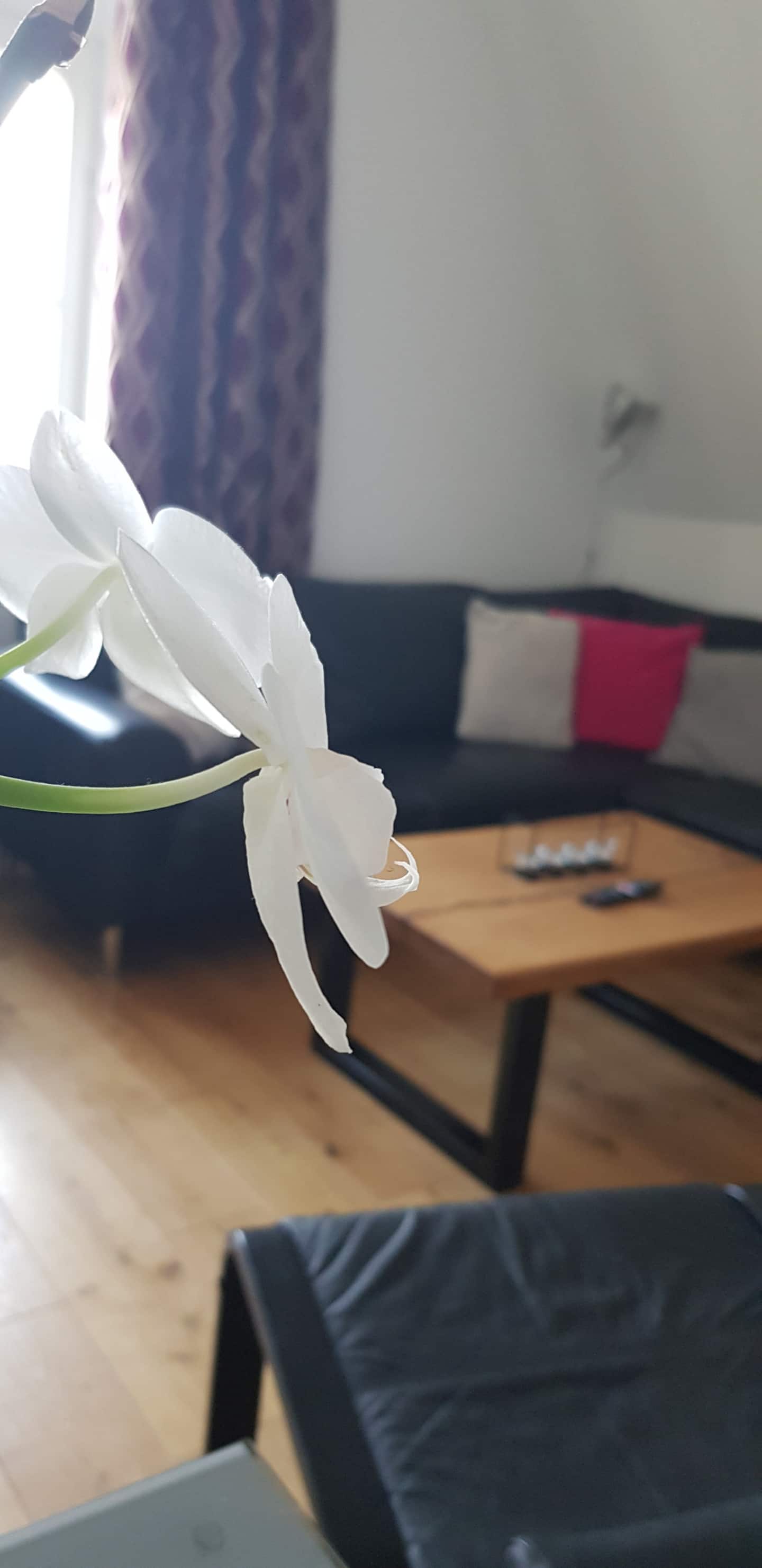 Wohnzimmer Bild 3