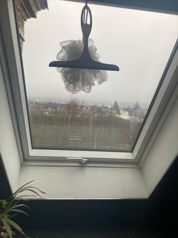 Badezimmer: Duschen mit Aussicht.